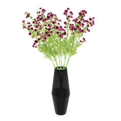 Decorative Persian Buttercup plant in .black glass vase isolated on white background. 3D Rendering, Illustration.
