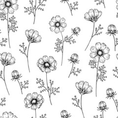 Hand drawn wild hay flowers. Vector cosmos flower. Medical herb. Vintage engraved art. Seamless pattern. Good for cosmetics, medicine, treating, aromatherapy, nursing, package design healthcare.