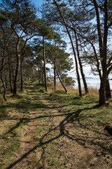 Boddenseite der Schaabe