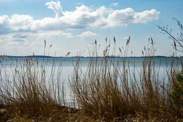 Boddenseite der Schaabe