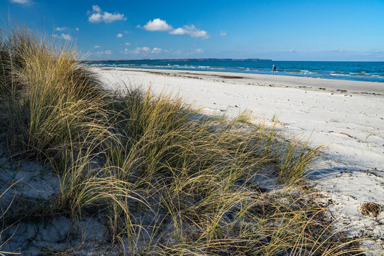 Strand auf der Schaabe