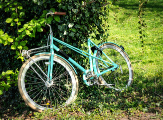 Fototapeta na wymiar Stolen bicycle in a park hided under a tree
