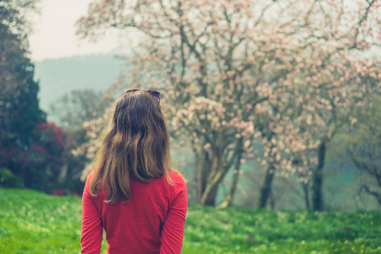 Young woman looking at cherry blossom