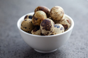 Obraz premium quail eggs in the white ceramic bowl