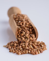 Grain buckwheat on a white acrylic background