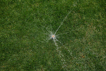 automatic sprinkler system watering the lawn on a background of green grass, close-up