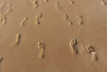 Footprints and sun glare on the wet sea sand on a sunny day. North Sea Beach.