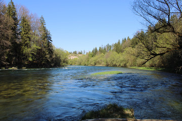 Traun Fluss Ufer, Baumufer, grüne Bäume begleiten das wilde Wasser bei blauem Himmel in Oberösterreich