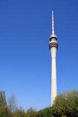 Fototapeta premium Blick zum Fernsehturm in Dresden