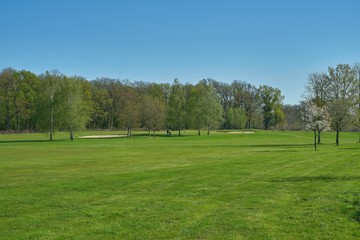 Fototapeta na wymiar Idyllic golf course with forest and sand bunker. Spring landscape.
