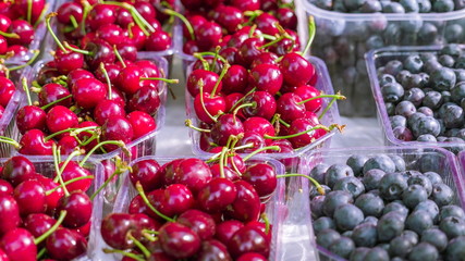 18179_Freshly_picked_cherries_on_the_plastic_container.jpg