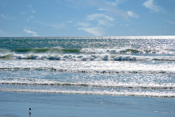 Fototapeta na wymiar Summer Beach Day with Small Waves