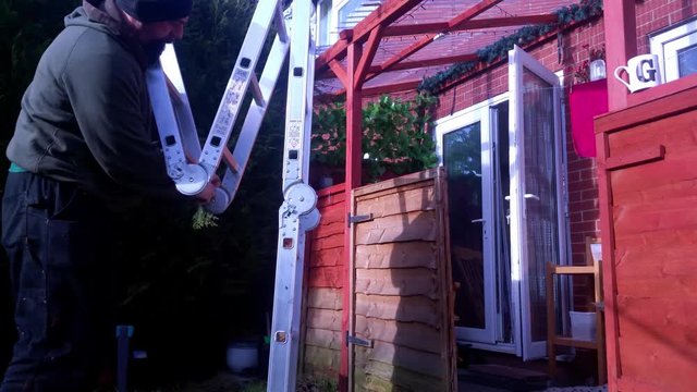 Male in work wear preparing ladder in sunny garden. Putting ladder next to wooden house extension & walking out of shot.