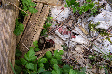 Plastic slowly degrades into tiny micro plastic which pollutes the environment and wildlife