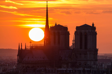 Naklejka premium cathédrale notre dame de paris