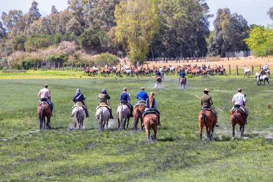 Keepers of breeding mares in El Rocio wetlands,  guiding horses and mares to be baptized