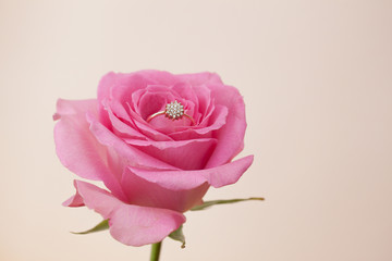 wedding ring with pink rose on ligth background