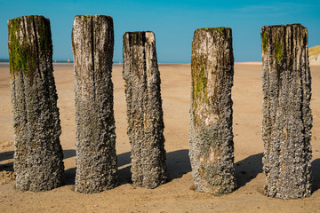 breakwater on the beach of Burgh Haamstede, The Netherlands