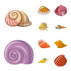 Isolated object of seashell and mollusk logo. Set of seashell and seafood  vector icon for stock.