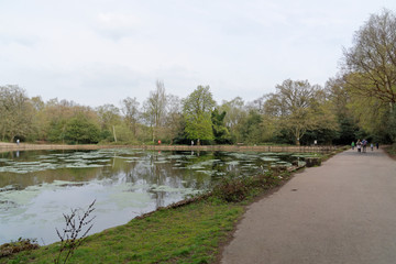 Small lake in Sutton Park.