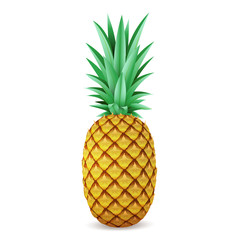Bright realistic pineapple isolated on white background