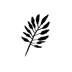 Fototapeta premium Leaf icon. Grunge vector dry brush illustration.