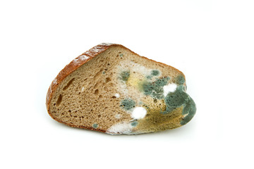 The picture of a mouldy bread. Rotten and uneatable. Isolated on white background. 