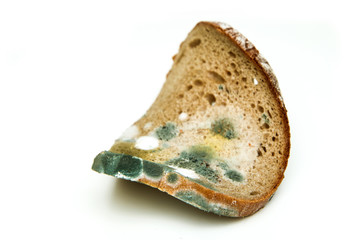 The picture of a mouldy bread. Rotten and uneatable. Isolated on white background. 