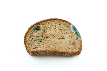 The picture of a mouldy bread. Rotten and uneatable. Isolated on white background. 
