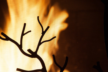 fire in fireplace