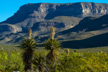 Oliver Lee State Park in southern New Mexico