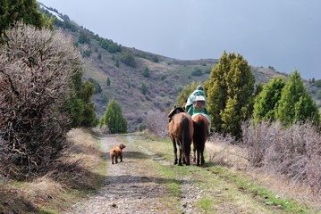 Kazakh horseman and a cocker spaniel on the track in Tian Shan mountains in the southern province...