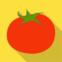 Isolated object of tomato and red symbol. Collection of tomato and vegan vector icon for stock.