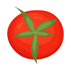 Vector design of tomato and red logo. Collection of tomato and natural vector icon for stock.