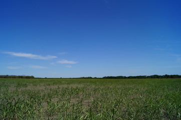 Campo en Ter&aacute;n