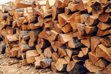 Picture of logs stacked on pile.