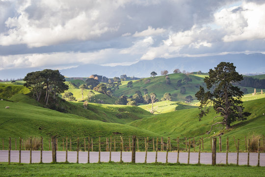 New Zealand scenery