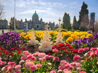 Foto op Plexiglas Springtime blooming flowers in Victoria downtown © pr2is