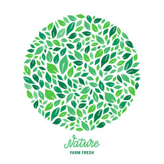 Green salad leaves circle pattern. Nature hand drawn lettering text inscription. Colourful ecologic background. Healthy meal plant-based concept. Vector EPS 10 illustration