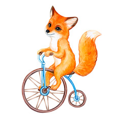 Cute funny fox on a bike, on a bicycle. Animal training isolated on white background. Watercolor. Illustration. Template. Hand drawing. Clipart. Close-up