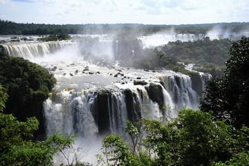 Wilder Iguazu
