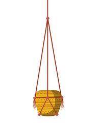 flowerpot on macrame hangers icon