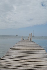 Naklejka premium pier on the sesa