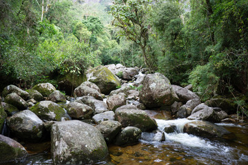 small waterfall in the forest