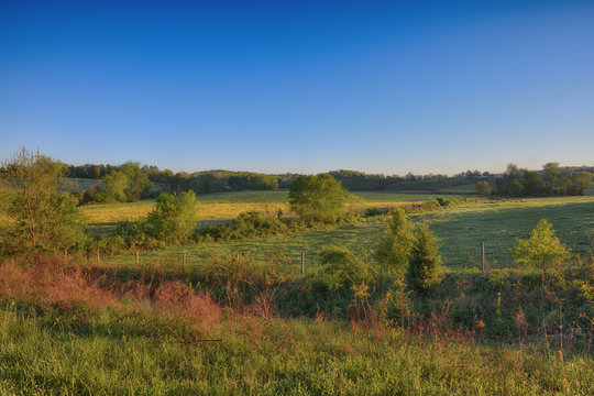 Springtime in Hillville" The Piedmont region of North Carolina on a spring morning ZDS Americana Landscapes Collection