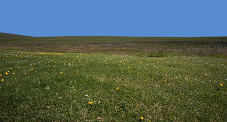 Landscape at the Hermitage Castle