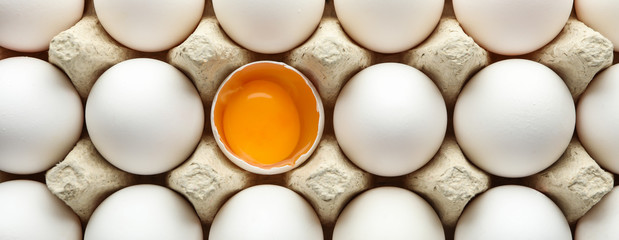 Chicken eggs in carton box as background, space for text