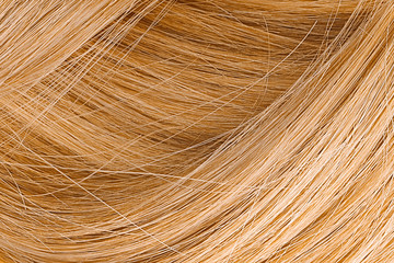 Blond hair as background, texture. One of the popular shades of hair coloring