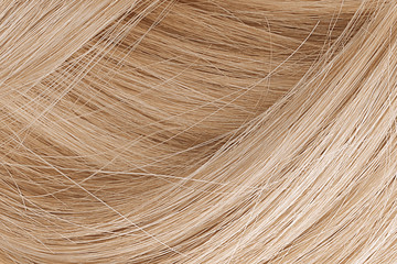 Blond hair as background, texture. One of the popular shades of hair coloring