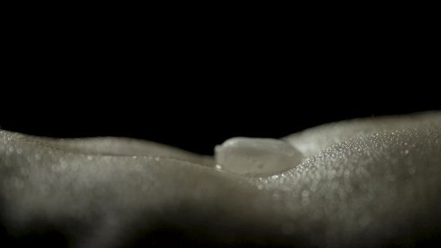 Close-up of a woman's bare belly laying down with a melting ice cube sliding into her navel. Copyspace on the top of the frame.